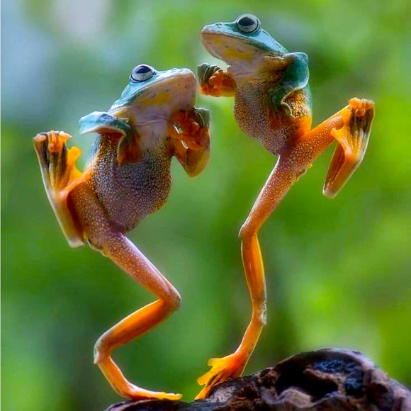 HERE’S TO THE FRIENDS - Picture 5 of 6